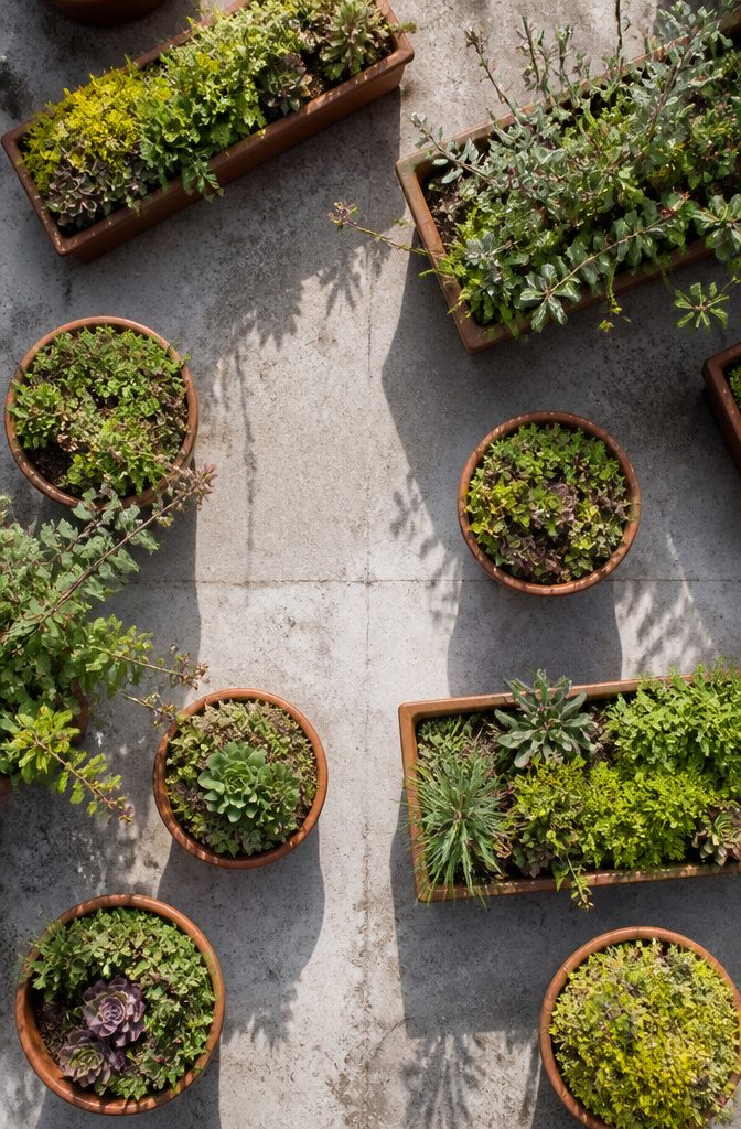20 Fresh Terrace Decoration Ideas for Outdoor Spaces 15 A terrace with potted plants and soil for a roof garden.